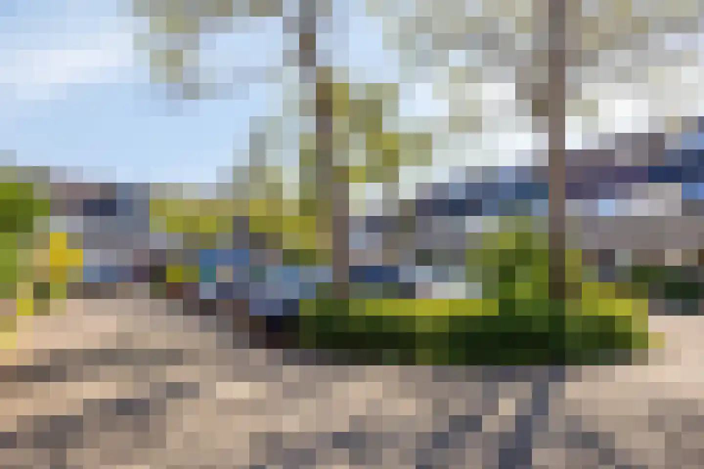 Begoniadal 13 Leiden thumbnail 49