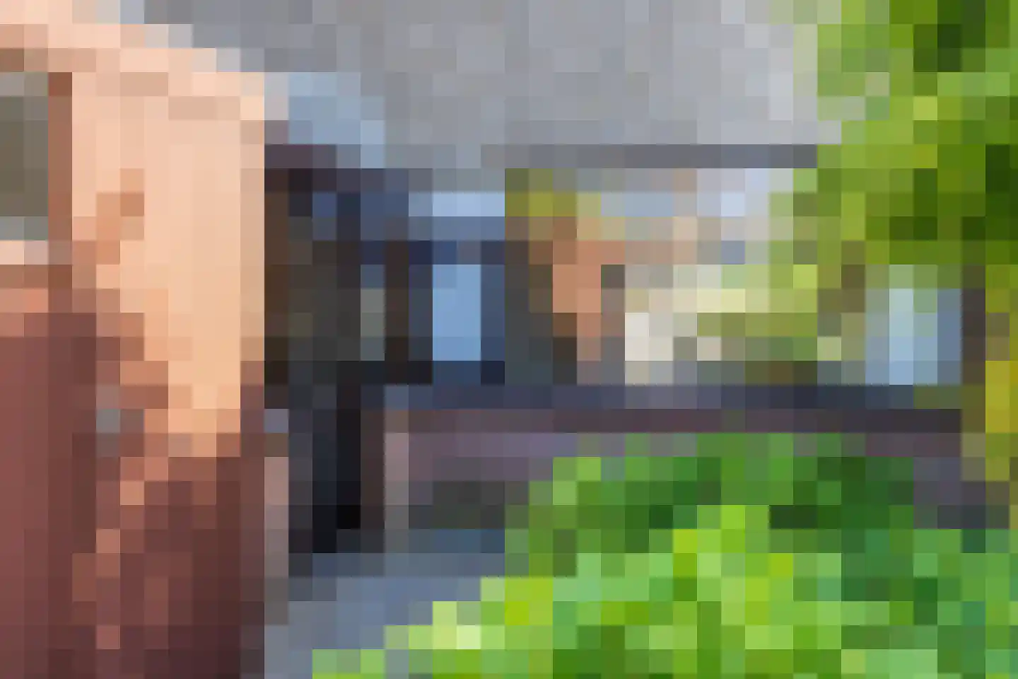 Begoniadal 13 Leiden thumbnail 8