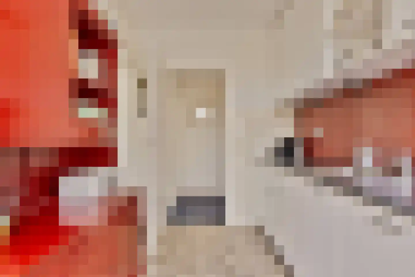 Begonialaan 12 Oostkapelle thumbnail 17