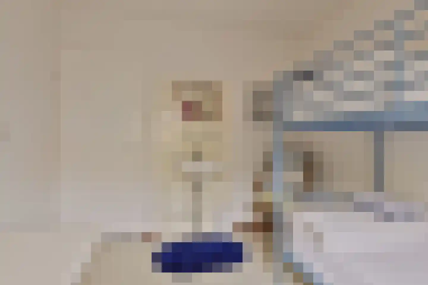 Begonialaan 12 Oostkapelle thumbnail 24