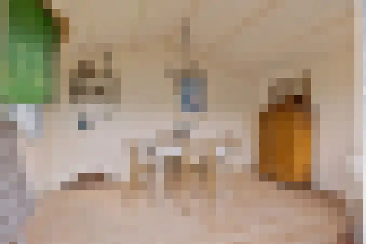 Begonialaan 12 Oostkapelle thumbnail 27