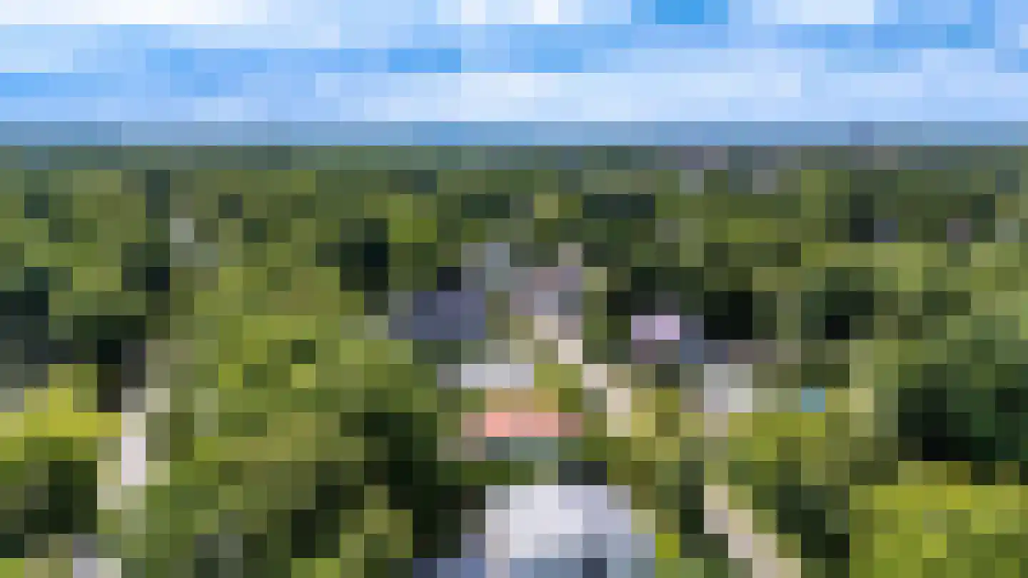 Begonialaan 12 Oostkapelle thumbnail 38