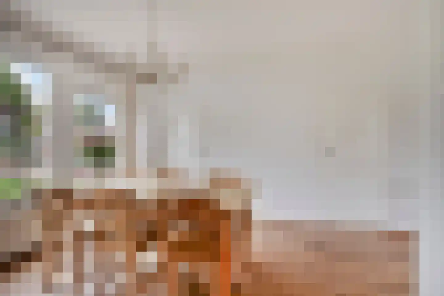 Begonialaan 20 Oostkapelle thumbnail 12