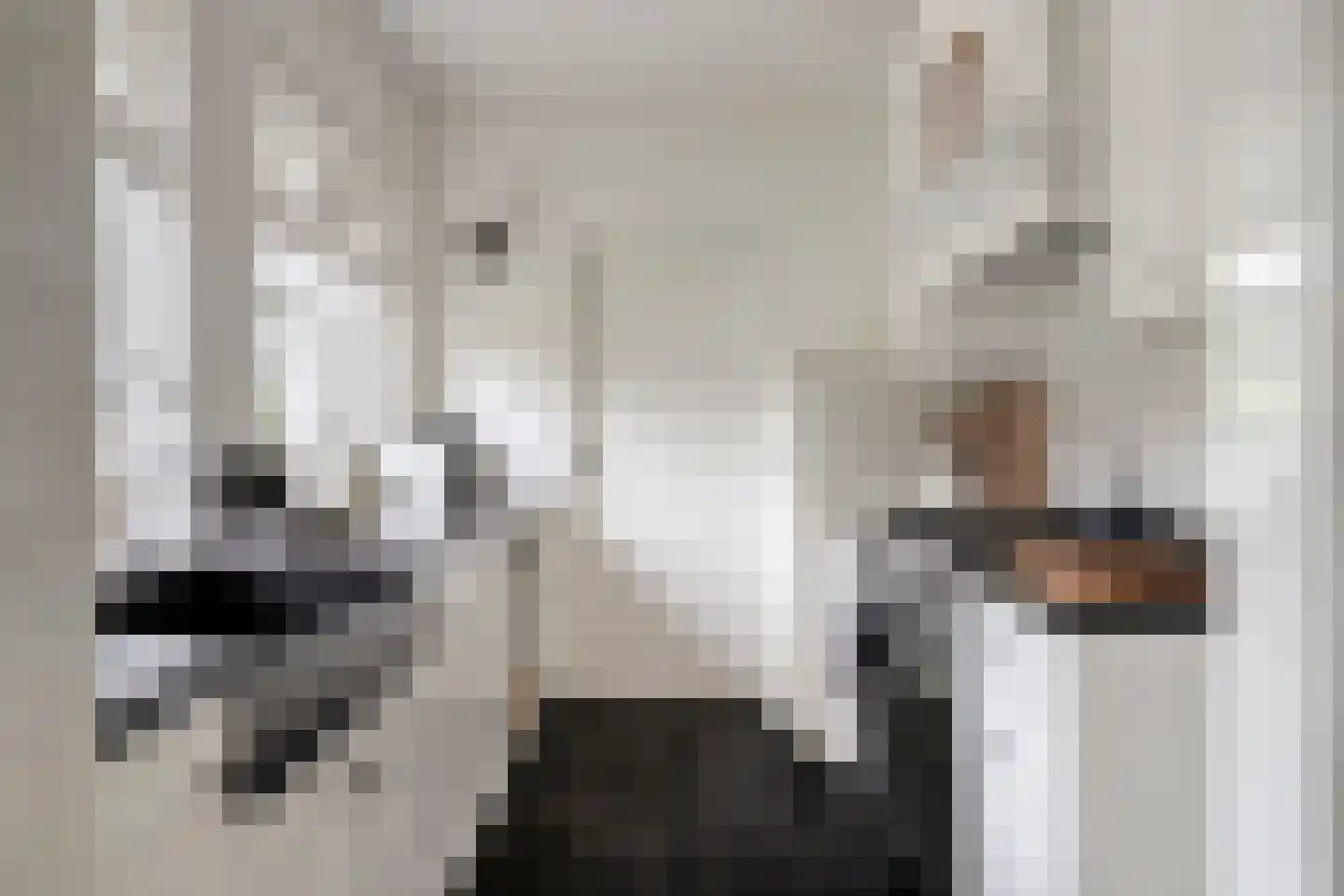 Begonialaan 20 Oostkapelle thumbnail 14