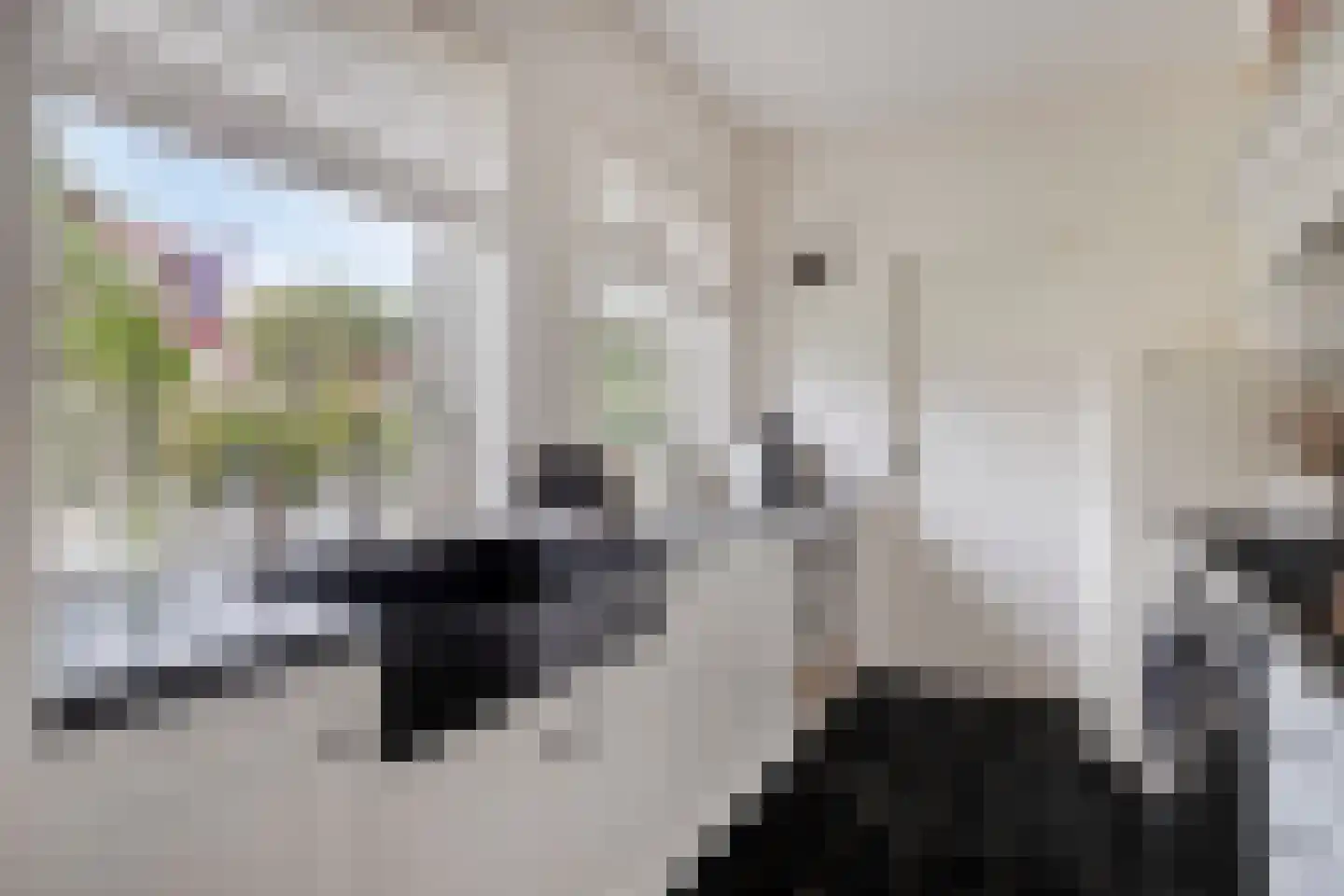 Begonialaan 20 Oostkapelle thumbnail 15