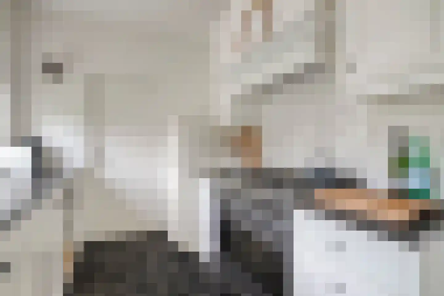 Begonialaan 20 Oostkapelle thumbnail 18