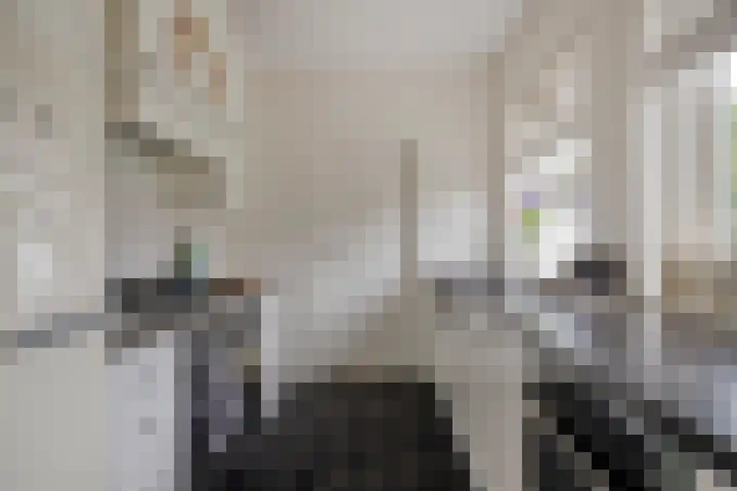 Begonialaan 20 Oostkapelle thumbnail 19
