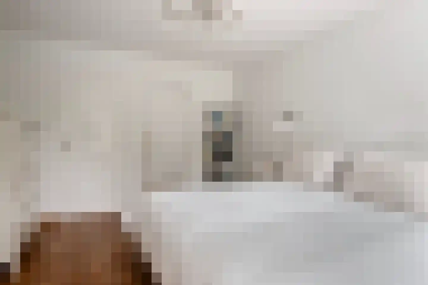 Begonialaan 20 Oostkapelle thumbnail 22