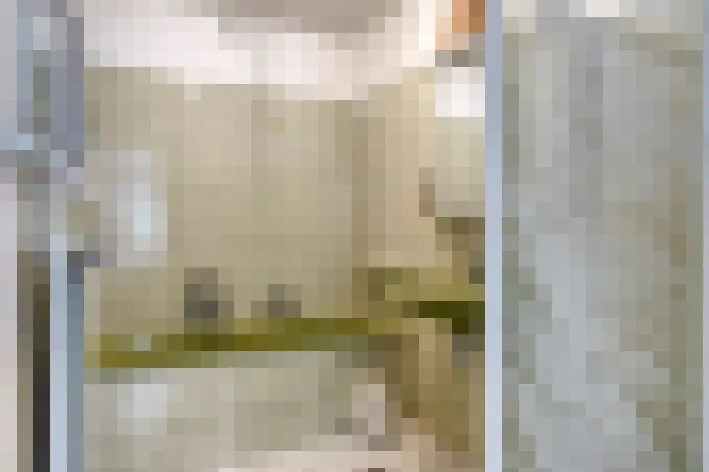 Begonialaan 20 Oostkapelle thumbnail 23