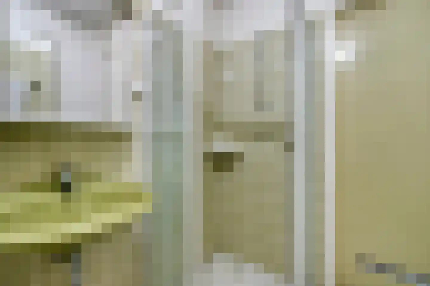 Begonialaan 20 Oostkapelle thumbnail 24
