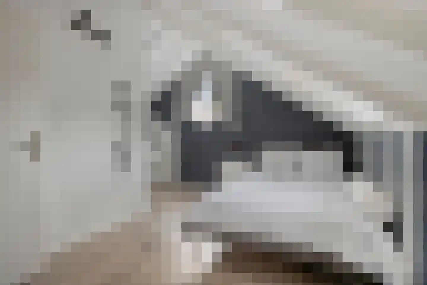 Begonialaan 20 Oostkapelle thumbnail 28