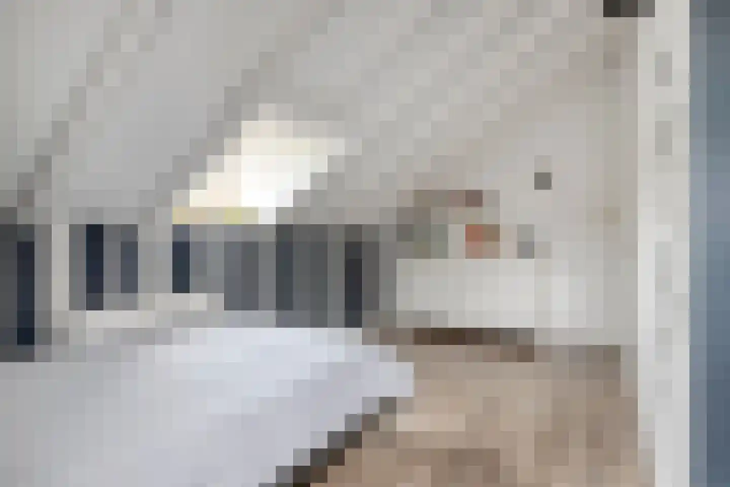 Begonialaan 20 Oostkapelle thumbnail 29