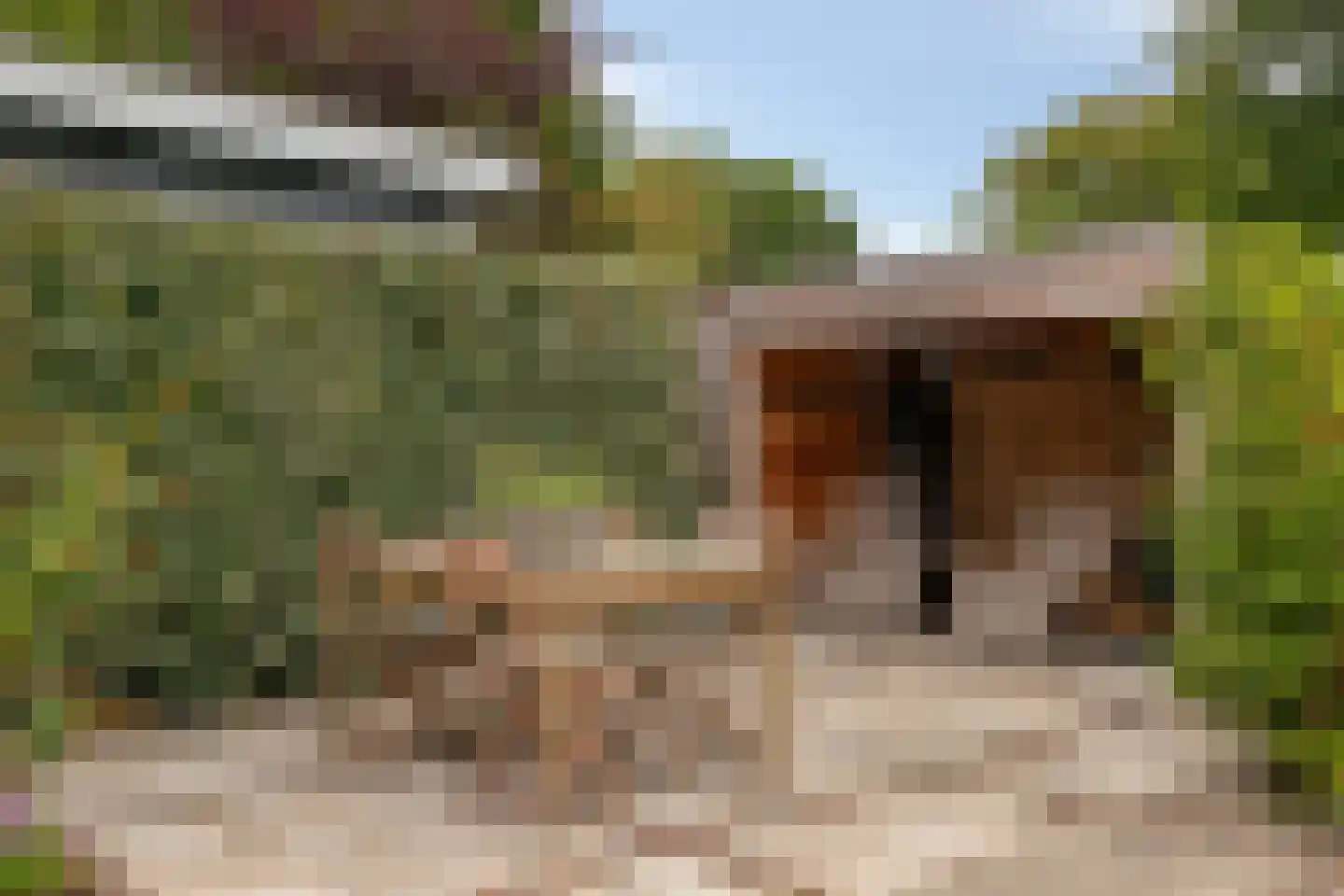 Begonialaan 20 Oostkapelle thumbnail 39