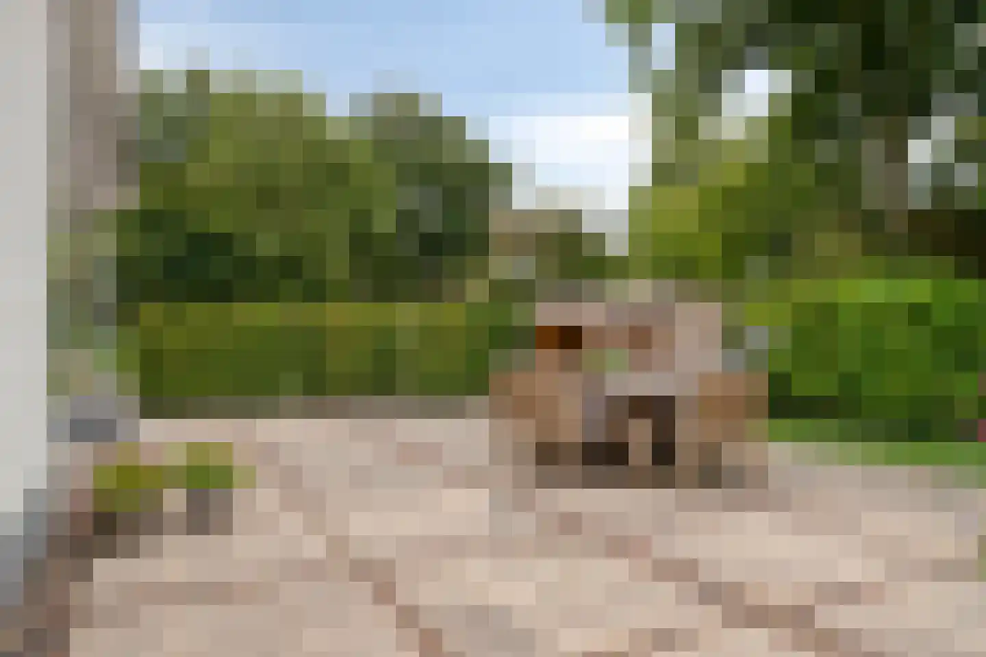 Begonialaan 20 Oostkapelle thumbnail 42