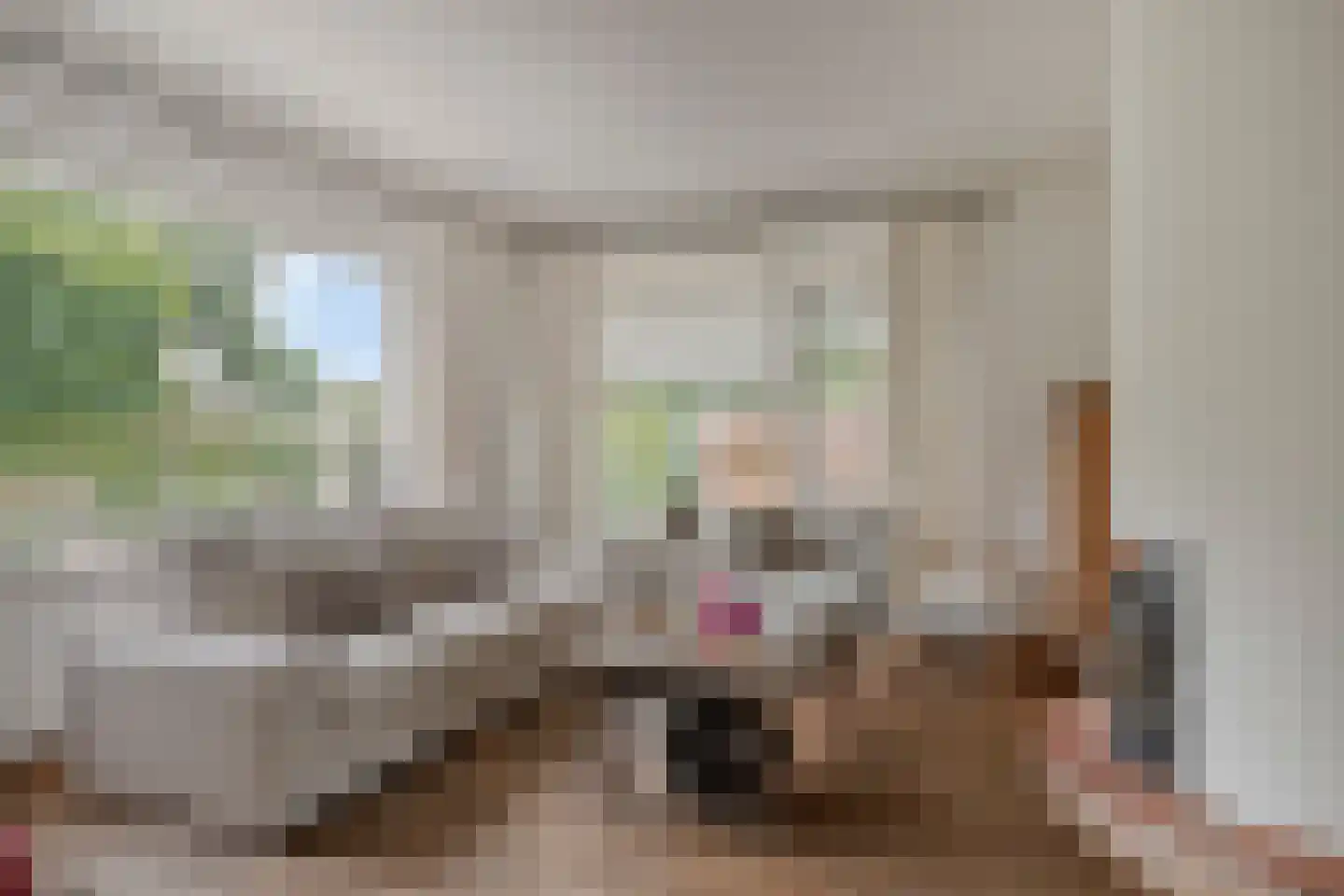 Begonialaan 20 Oostkapelle thumbnail 9