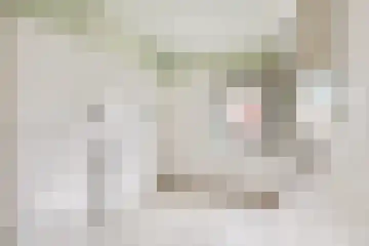 Begonialaan 23 Ede thumbnail 17