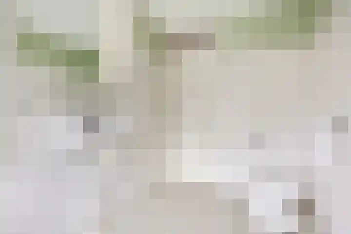 Begonialaan 23 Ede thumbnail 18