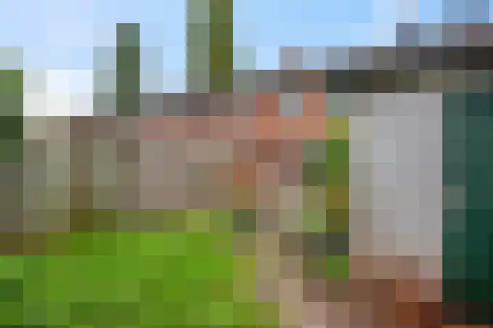Begonialaan 23 Ede thumbnail 21