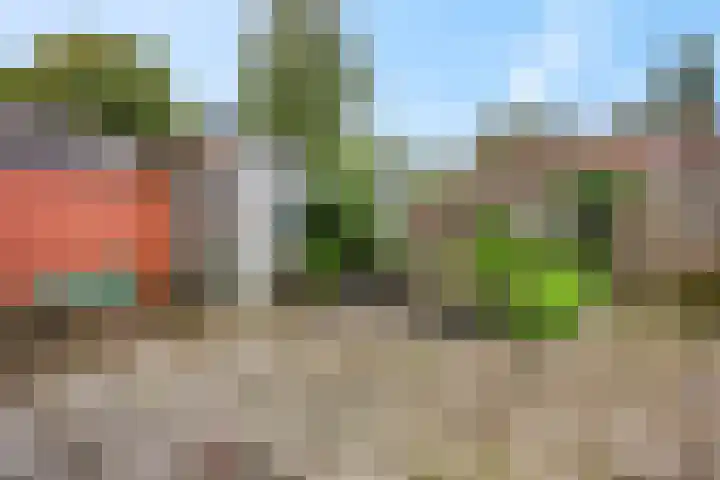 Begonialaan 23 Ede thumbnail 23