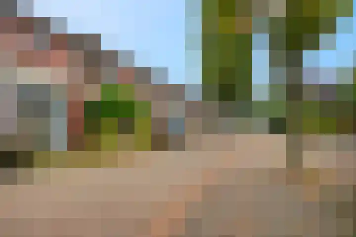 Begonialaan 23 Ede thumbnail 27