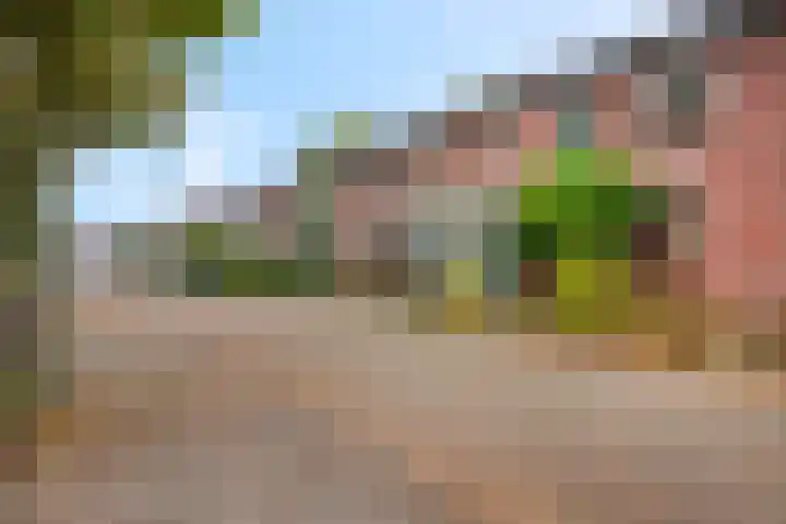 Begonialaan 23 Ede thumbnail 28