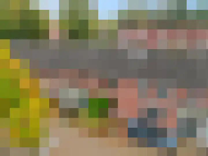 Begonialaan 23 Ede thumbnail 29