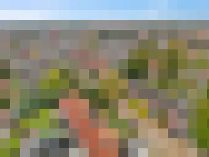 Begonialaan 23 Ede thumbnail 30
