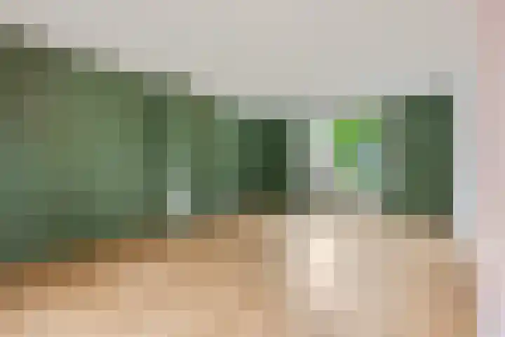 Begonialaan 23 Ede thumbnail 4
