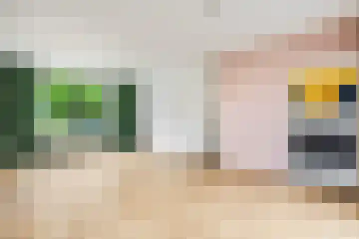 Begonialaan 23 Ede thumbnail 5