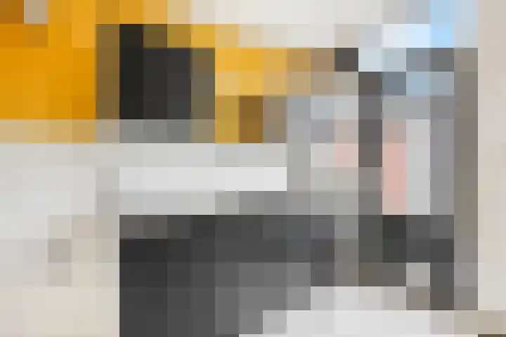 Begonialaan 23 Ede thumbnail 6
