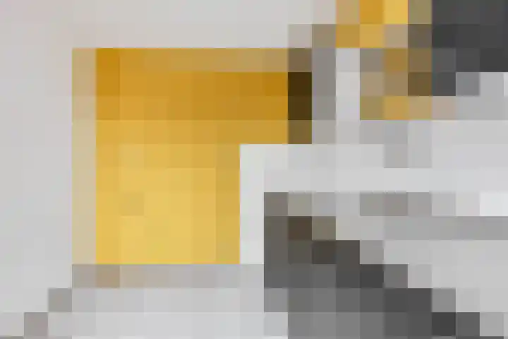 Begonialaan 23 Ede thumbnail 7
