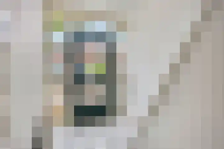 Begonialaan 23 Ede thumbnail 8