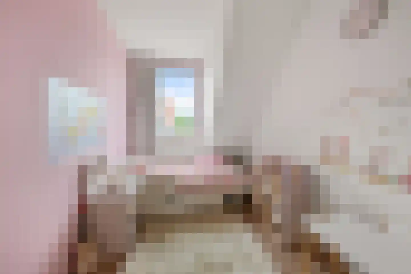 Begonialaan 5 De Kwakel thumbnail 11