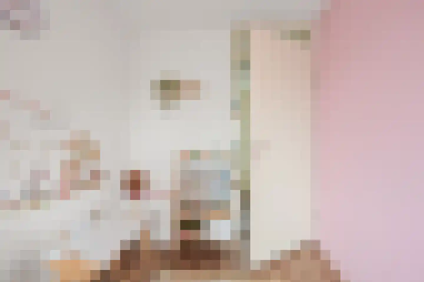 Begonialaan 5 De Kwakel thumbnail 12