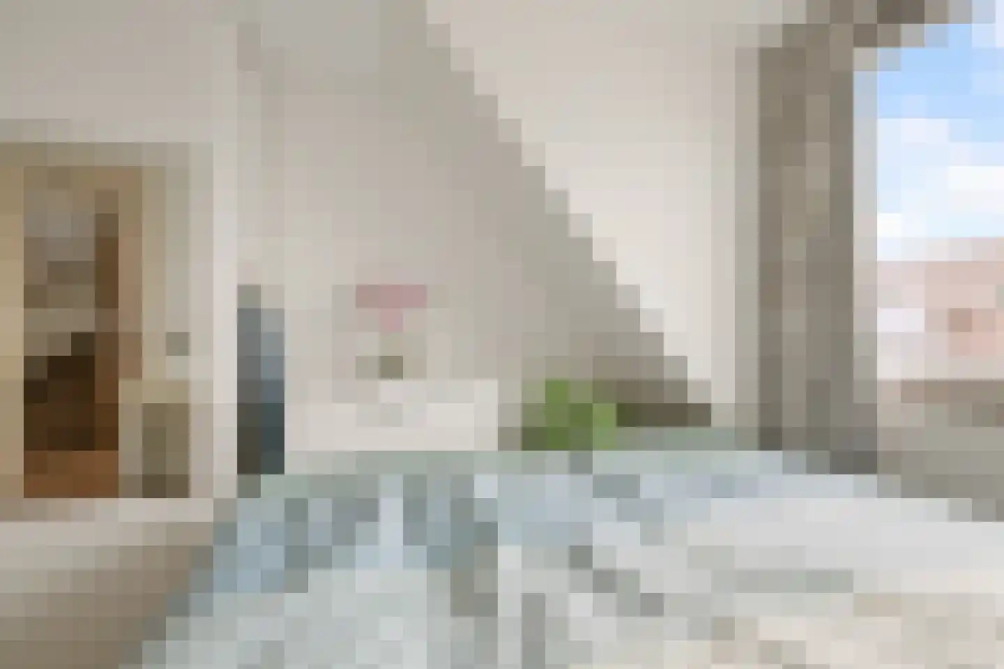 Begonialaan 5 De Kwakel thumbnail 15
