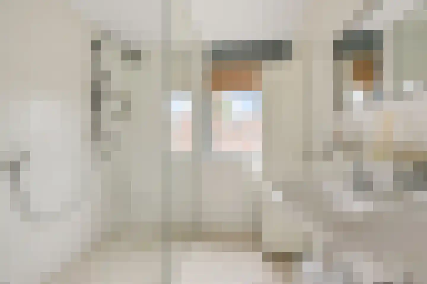Begonialaan 5 De Kwakel thumbnail 18