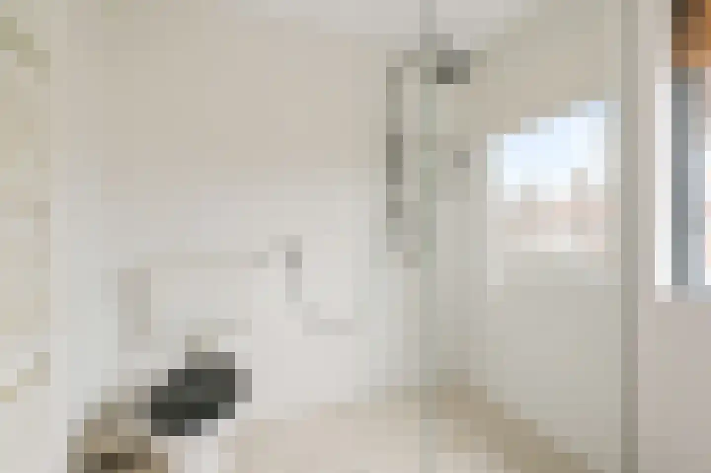 Begonialaan 5 De Kwakel thumbnail 19