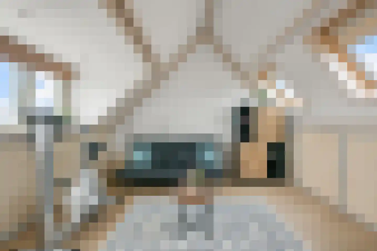 Begonialaan 5 De Kwakel thumbnail 21