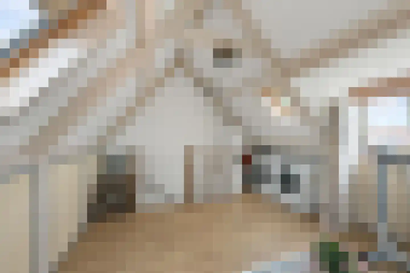 Begonialaan 5 De Kwakel thumbnail 23