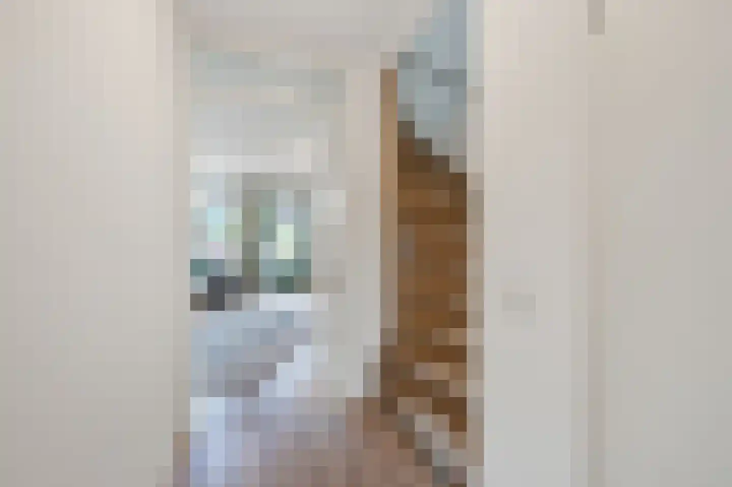Begonialaan 5 De Kwakel thumbnail 9