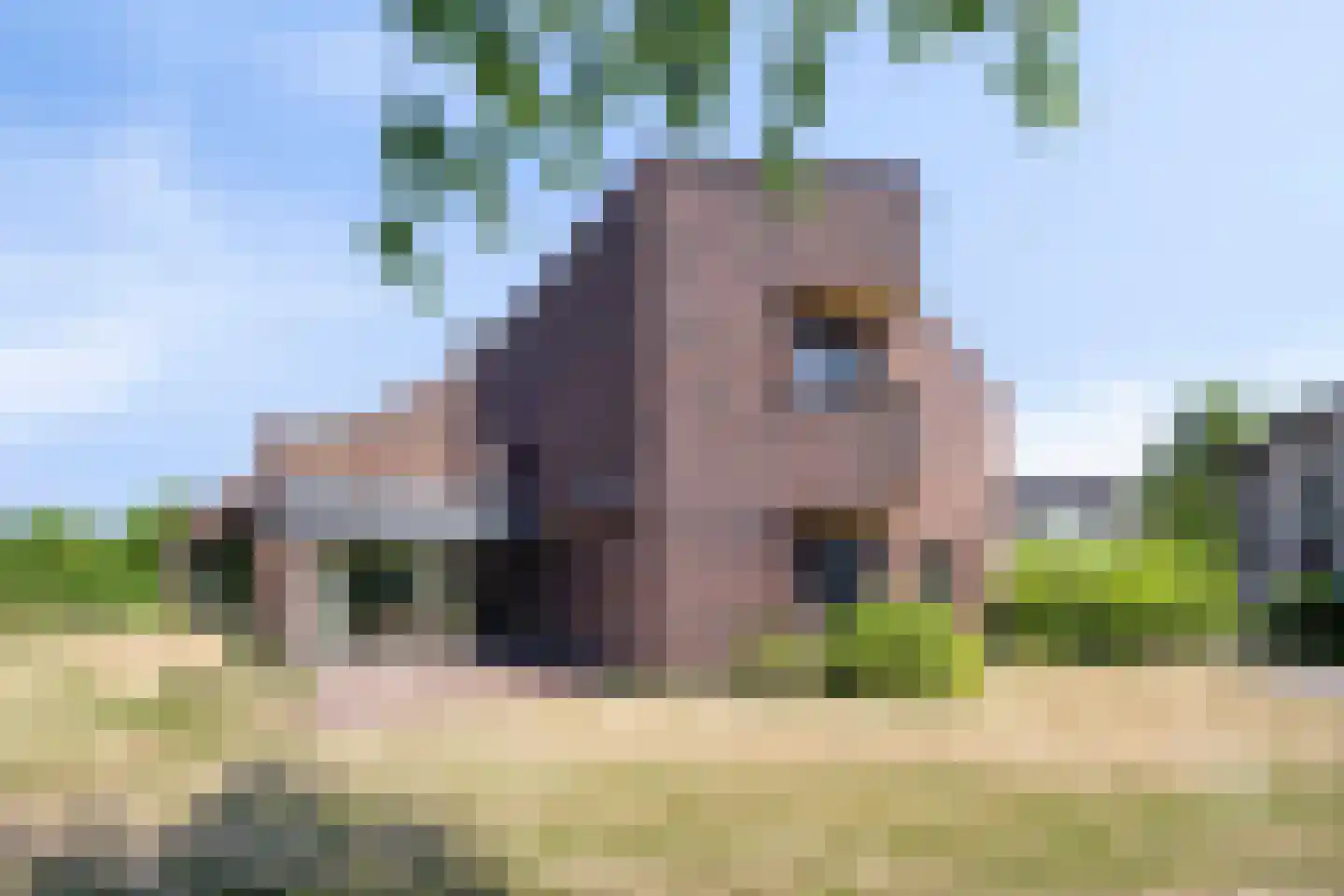 Begonialaan 6 Abbega thumbnail 13
