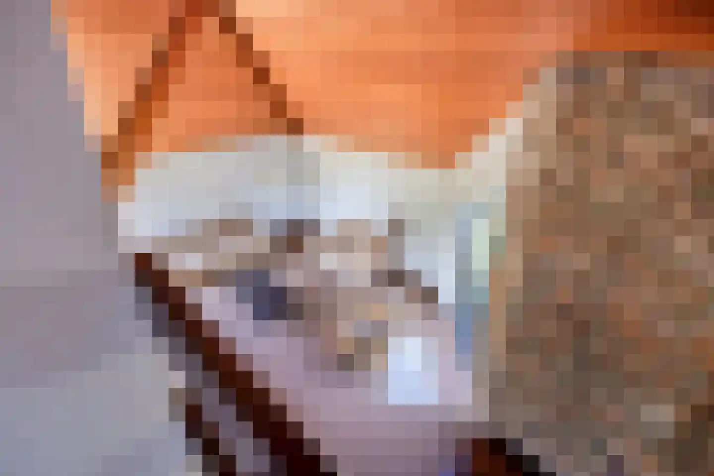 Begonialaan 6 Abbega thumbnail 25