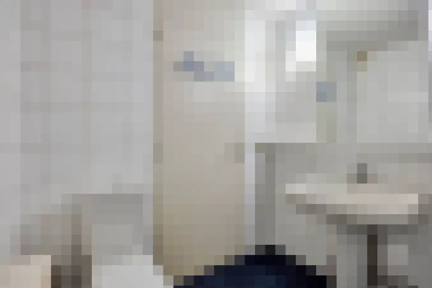 Begonialaan 6 Abbega thumbnail 29