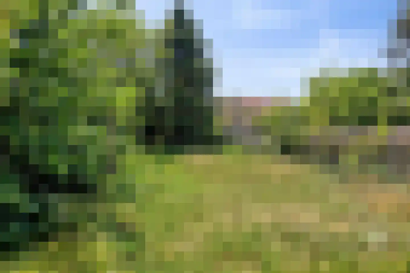 Begonialaan 6 Abbega thumbnail 37