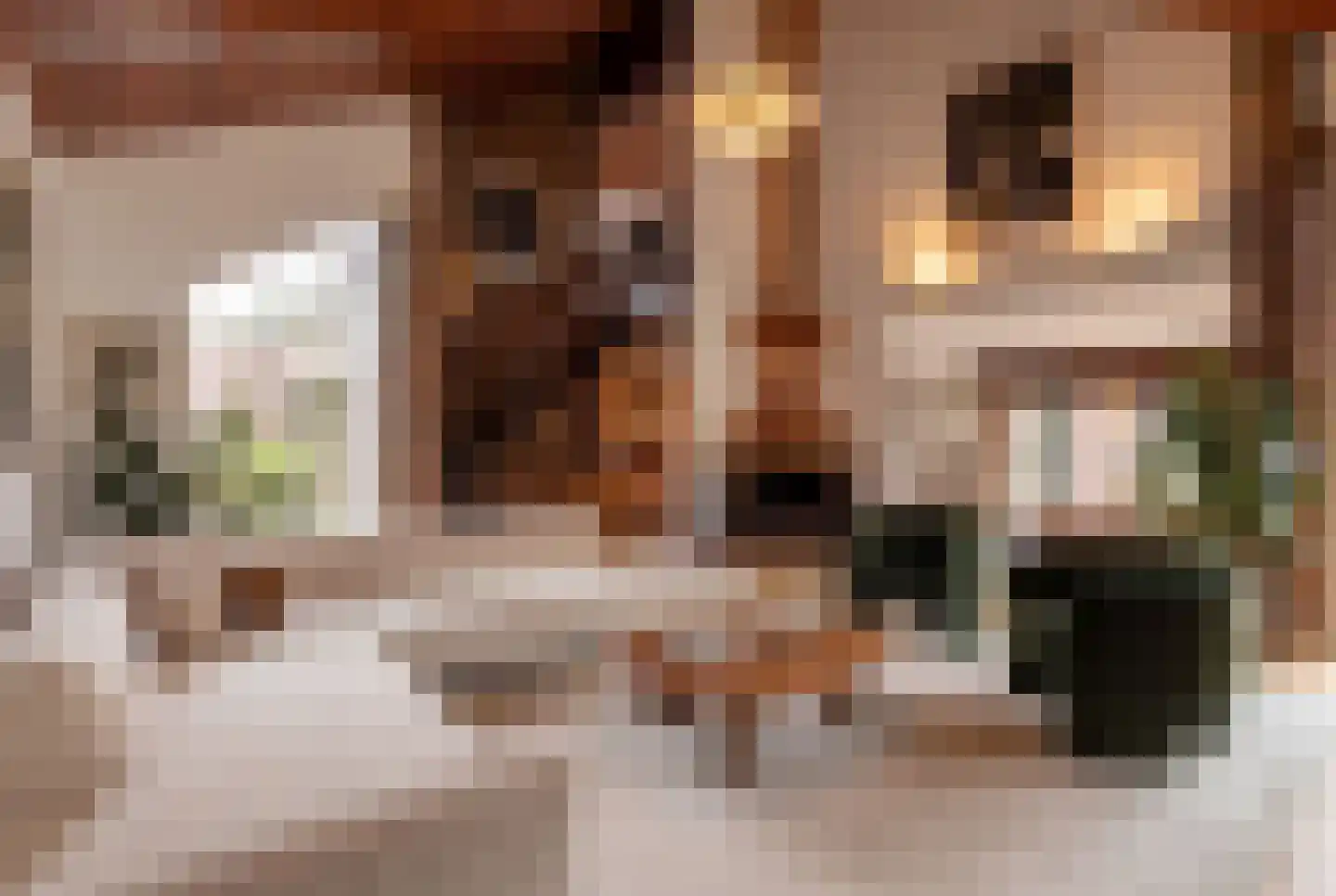 Begonialaan 6 Abbega thumbnail 7