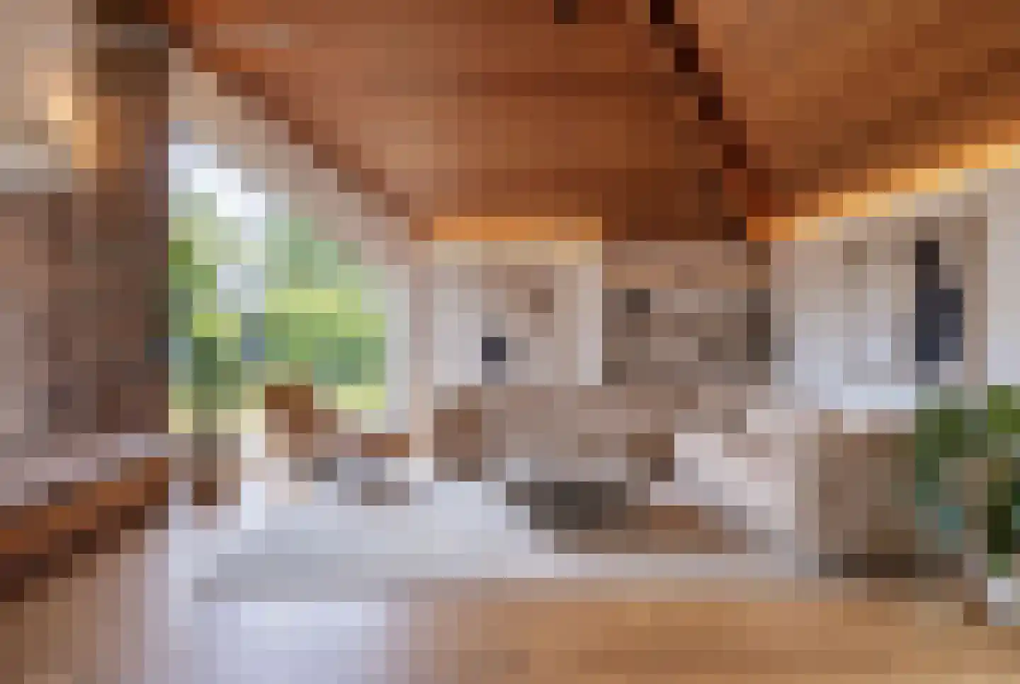 Begonialaan 6 Abbega thumbnail 9