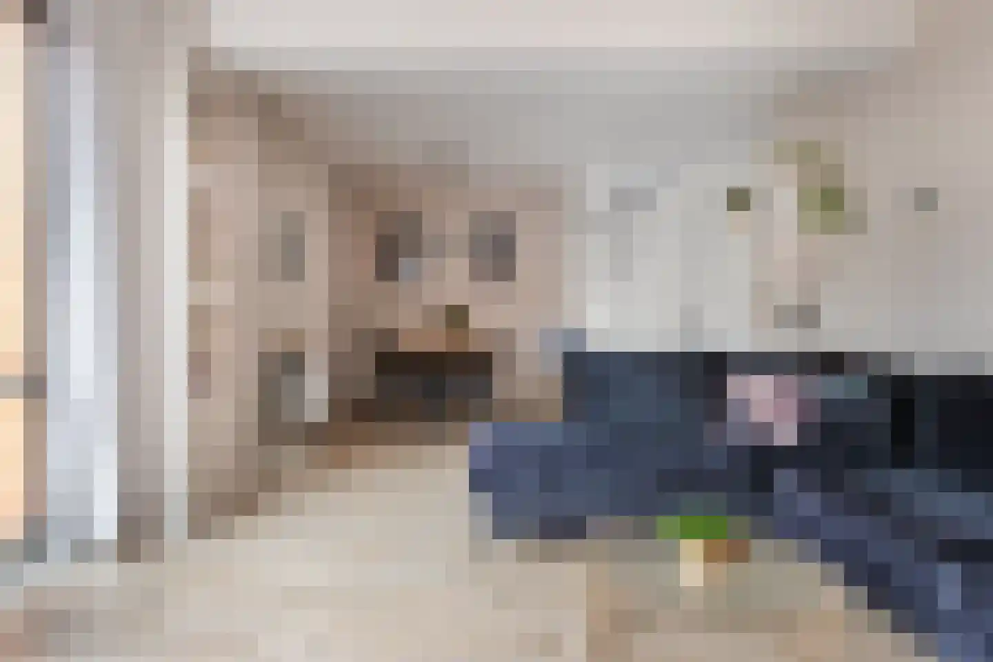 Begoniapad 9 Gouda thumbnail 11