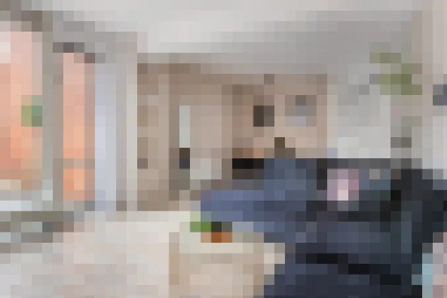 Begoniapad 9 Gouda thumbnail 12