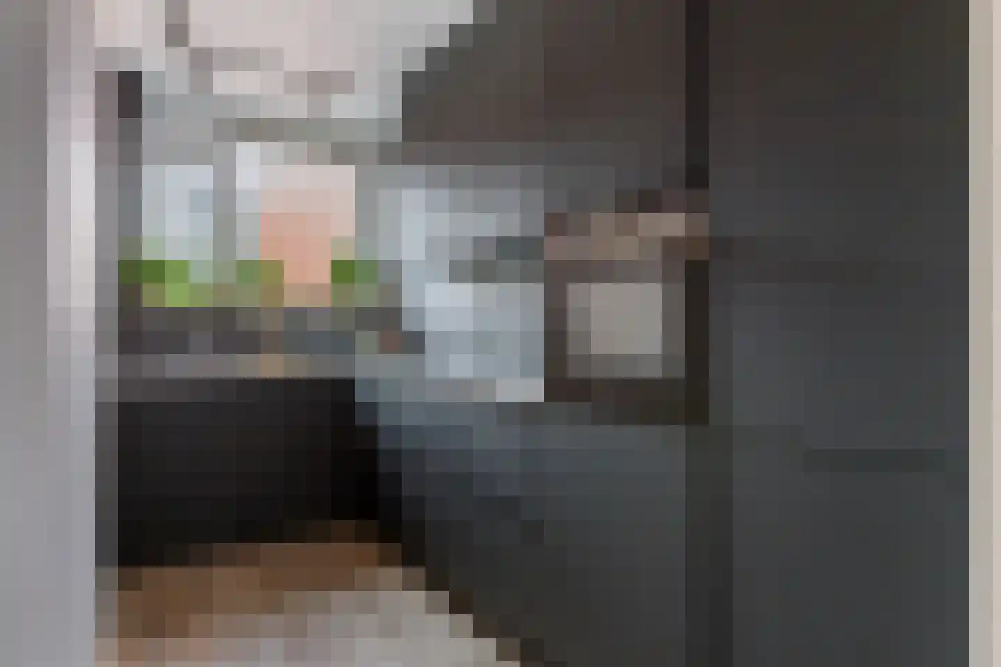Begoniapad 9 Gouda thumbnail 14