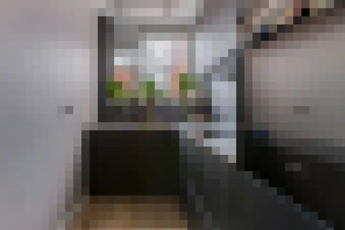 Begoniapad 9 Gouda thumbnail 15